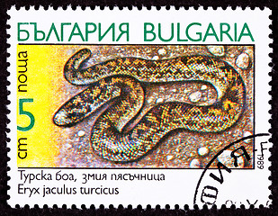 Image showing Bulgarian Postage Stamp Javelin Sand Boa Constrictor Snake, Eryx