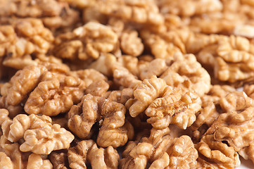 Image showing walnut kernel 