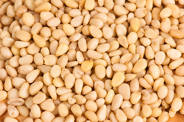 Image showing pine nuts background 