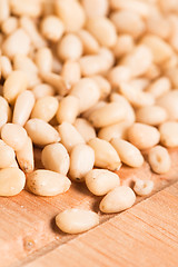 Image showing pine nuts background 