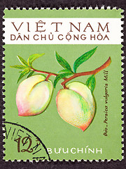 Image showing Vietnamese Post Stamp Peach Prunus Persica Branch