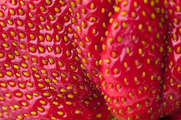 Image showing Macro Closeup Full Frame Fresh Red Strawberry