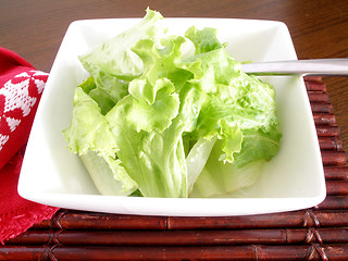 Image showing Salad of lettuce