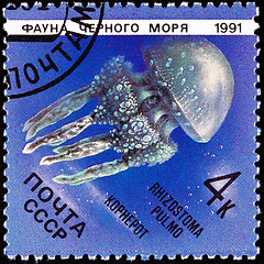 Image showing Postage Stamp Jellyfish Rhizostoma Pulmo Lung Sea