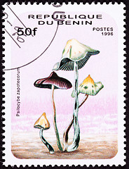Image showing Canceled Benin Postage Stamp Psilocybin, Psychedelic Mushroom Ps