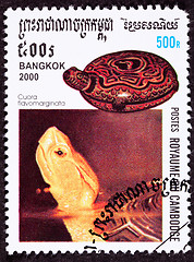 Image showing Canceled Cambodian Postage Stamp Chinese Box Turtle, Cuora Flavo