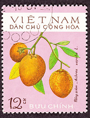 Image showing Post Stamp Sapodilla Manilkara Achras Fruit Tree