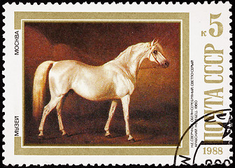 Image showing Soviet Russia Post Stamp Painting White Horse Nikolai Sverchkov