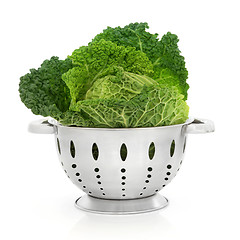 Image showing Savoy Cabbage