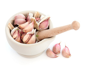 Image showing Garlic Herb Cloves