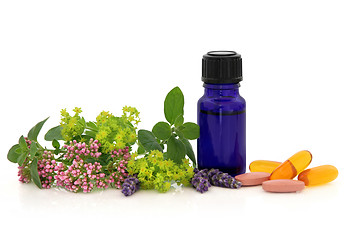 Image showing Alternative Herb Therapy