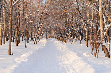 Image showing snow park