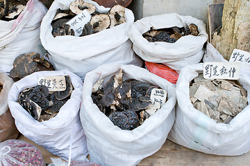 Image showing Bags of Tree Fungus Mushrooms, Market, Guangzhou, China