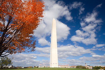 Image showing Washington Monument Autumn Framed Leaves Blue Sky