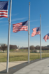 Image showing Row American Flags Flying Half Mast Washington DC