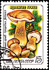 Image showing Soviet Russia Postage Stamp Tylopilus Felleus Boletus Felleus