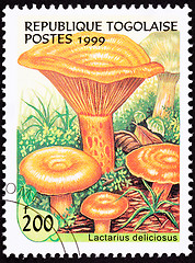 Image showing Canceled Togo Postage Stamp Saffron Milk Cap Mushroom Lactarius 