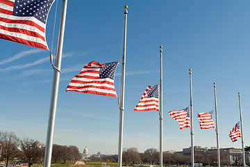 Image showing Row American Flags Half Mast Washington DC USA