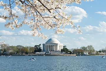 Image showing Jefferson Memorial Tidal Basin Cherry Blossoms USA