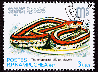 Image showing Cambodian Postage Stamp San Francisco Garter Snake Thamnophis Si