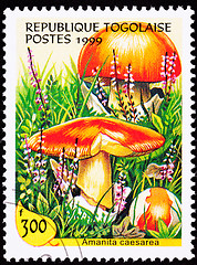 Image showing Canceled Togo Postage Stamp Caesar's Mushroom, Amanita Caesarea 