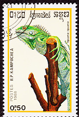 Image showing Canceled Cambodian Postage Stamp Green Lizard, Iguana Gripping T