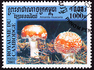 Image showing Canceled Cambodian Postage Stamp Toadstool Fly Agaric mushroom, 