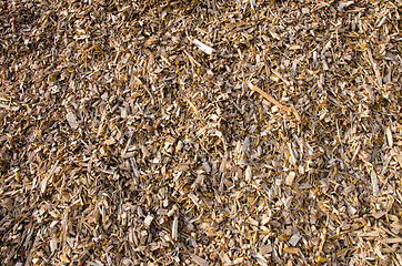 Image showing Background of wood shavings.Biomass fuels.