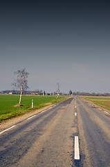 Image showing Narrow paved and patched road. agricultural fields