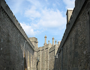 Image showing walls of  Voronzov Palace