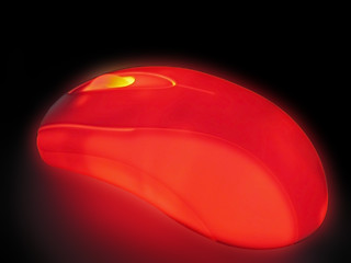 Image showing  shining mouse