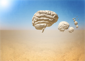 Image showing escape of brain