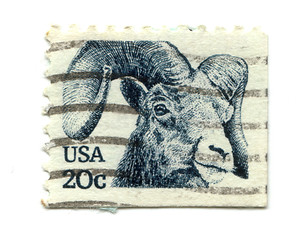 Image showing old postage stamp from USA Goat 