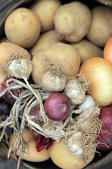 Image showing Fresh collected from the farm field vegetables