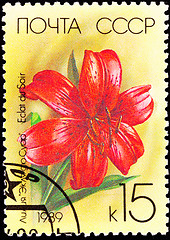 Image showing Canceled Soviet Russia Postage Stamp Red Eclat du Soir Lily