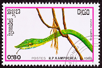 Image showing Canceled Cambodian Postage Stamp Head Green Vine Snake Ahaetulla