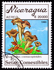 Image showing Canceled Nicaragua Postage Stamp Clump Black Chanterelle Mushroo