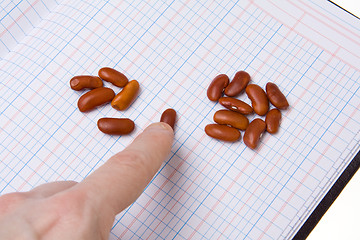 Image showing Finger Pointing Counting Beans on an Accounting Ledger Book