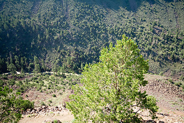 Image showing Looking Down Into Rio Grande Gorge New Mexico