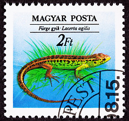 Image showing Canceled Hungarian Postage Stamp Brown Green Sand Lizard, Lacert