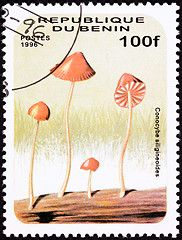 Image showing Canceled Benin Postage Stamp Umbrella Shaped Psychedelic Mushroo