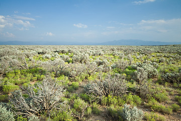 Image showing High Desert Sage Brush North Central New Mexico Wide Angle