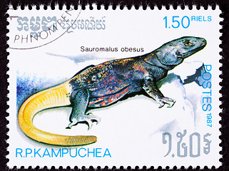 Image showing Canceled Cambodian Postage Stamp Yellow Common Chuckwalla Saurom