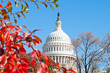 Image showing Autumn at the U.S. Capital Building Washington DC Red Leaves