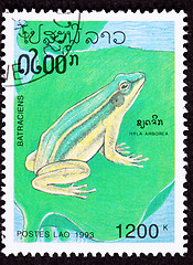 Image showing Canceled Laotian Postage Stamp Sitting European Tree Frog Hyla A