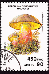 Image showing Canceled Madagascar Postage Stamp Bitter Beech Bolete Mushroom, 