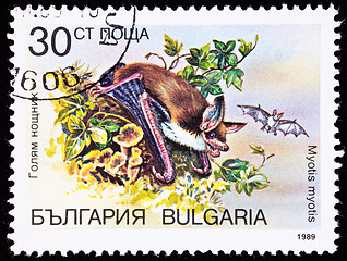 Image showing Canceled Bulgarian Postage Stamp Greater Mouse-eared Bat Myotis 