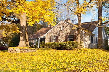 Image showing House Philadelphia Yellow Fall Autumn Leaves Tree