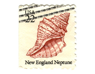 Image showing US postage stamp on white background 22c