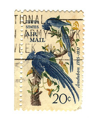 Image showing Old postage stamps from USA with two birds 